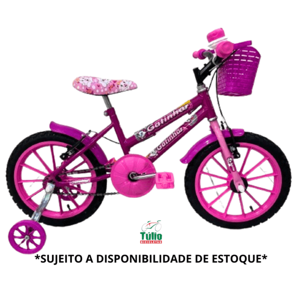 Bicicleta Aro 16 Feminina Kit Plástico